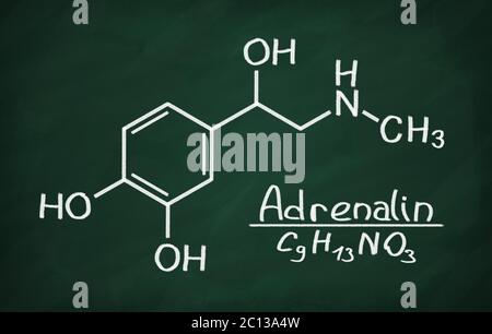 Modèle structurel de l'adrénaline Banque D'Images