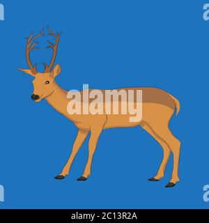 Image vectorielle de Deer dessinée à la main sur fond bleu. Cerf debout seul. Isolez l'image de l'arrière-plan. Image d'apprentissage de l'alphabet D. Illustration de Vecteur