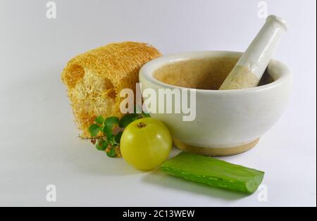 mélangeur blanc d'herbes avec l'aloe vera, le groseille et d'autres herbes représentant la médecine ayurvédique dans fond blanc. Banque D'Images