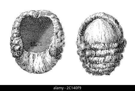 illustration d'une perruque du xviiie siècle. Publié dans 'A Diderot Pictorial Encyclopedia of Trades and Industry. Fabrication et arts techniques à Pla Banque D'Images