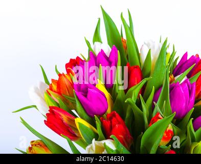 bouquet de tulipes multicolores. fleurs de printemps fraîches Banque D'Images