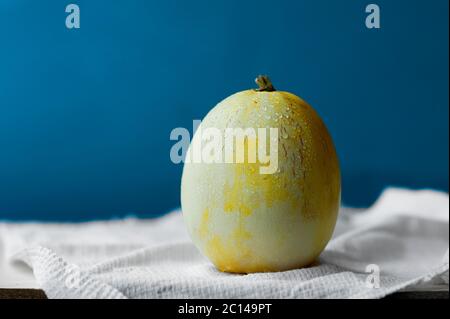 petit melon jaune mûr juteux en gouttes d'eau claire sur une serviette en coton blanc contre un mur bleu. culture de légumes dans une maison de campagne Banque D'Images