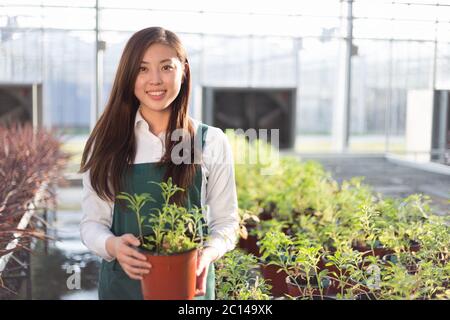 Belle jeune femme asiatique travaille dans le champ vert Banque D'Images