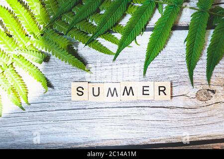 inscription été est faite de petits blocs de bois imprimés sur un fond en bois avec une feuille verte fraîche de verdure. mise en page calendrier Banque D'Images