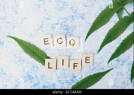 inscription eco life est fait de petits blocs de bois imprimés sur un fond de ciment gris-bleu avec des feuilles fraîches de vert vif Banque D'Images