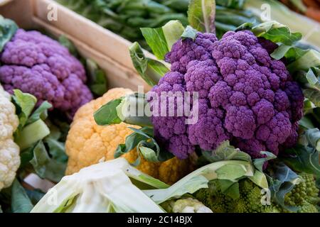 Cauliflovers violet et jaune coloré dans le marché de Sartene, Corse, France Banque D'Images