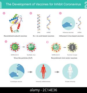 Le développement de vaccins pour inhiber le coronavirus. Illustration expliquer le vaccin mis au point pour inhiber les coronavirus (SRAS-COV-2) par la méthode d'utilisation im Illustration de Vecteur