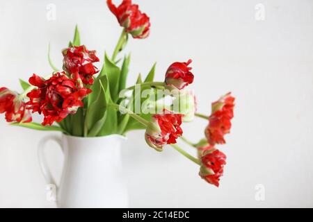 Bouquet de tulipes dans vase blanc sur chaise rustique en bois Banque D'Images