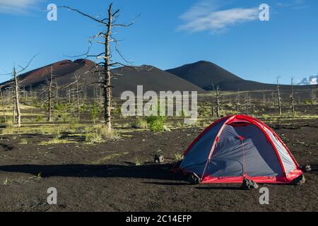 Tente tourisme dans le bois mort - conséquence de déversement catastrophique de cendres lors de l'éruption du volcan Tolbachik en 1975 Banque D'Images