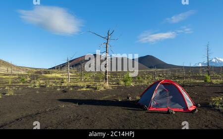 Tente tourisme dans le bois mort - conséquence de déversement catastrophique de cendres lors de l'éruption du volcan Tolbachik en 1975 Banque D'Images