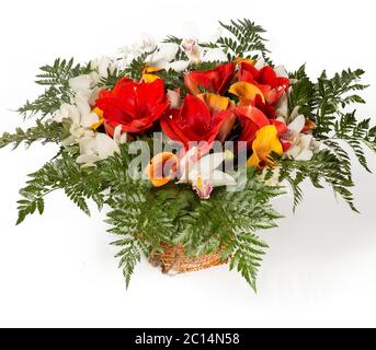 Bouquet de fleurs vue de dessus sur fond blanc Banque D'Images