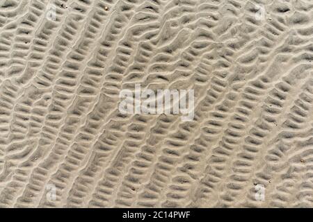 Structures et motifs dans la mer de waddensea, patrimoine mondial de l'UNESCO, près de l'île de Neuwerk, en mer du Nord, État fédéral de Hambourg, Allemagne du Nord Banque D'Images