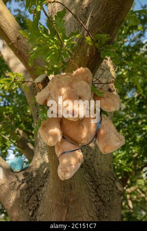 Londres, Royaume-Uni. 14 juin 2020. Les enfants ont décoré un sentier entre deux champs dans le nord-ouest de Londres, avec des ours en peluche et des amis à fourrure, les gardant occupés pendant leur période d'école et les faisant mieux faire face à la situation actuelle du coronavirus. Crédit: Joe Kuis / Alamy News Banque D'Images
