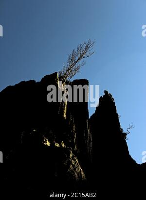 Tôt le matin, le soleil illumine les rochers près de Wenallt Tap, Llanymawddwy Banque D'Images