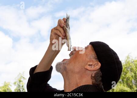 Les pêcheurs mangent les premiers matjes de la saison Banque D'Images
