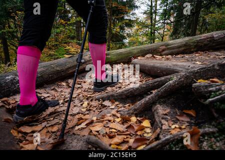 Randonnée touristique de montagne, marche sur grès colline rocheuse, en utilisant des bâtons de randonnée. Belle forêt d'automne, rochers couverts de mousse. Banque D'Images