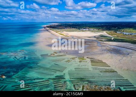 France, Normandie, département de la Manche, Blainville-sur-Mer, vue aérienne d'un parc à huîtres Banque D'Images