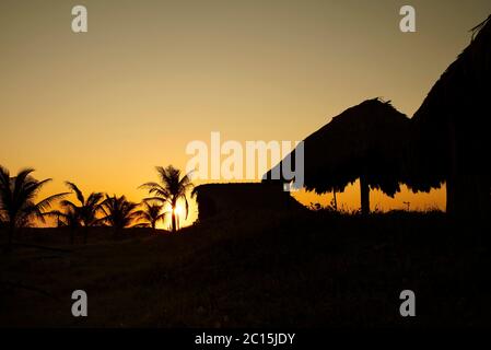 Silhouette de palmiers et palapas de plage sur toit de chaume pendant le coucher du soleil. El Paredón, Guatemala Banque D'Images