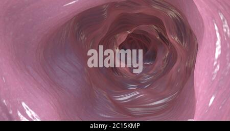 Illustration 3d de la face interne du côlon ou intestinal Banque D'Images
