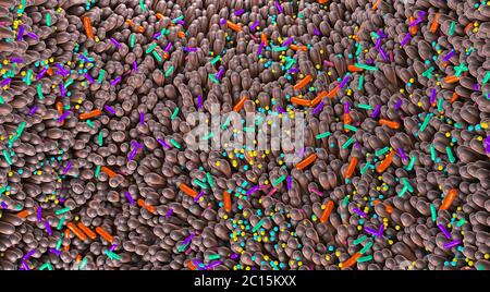 Différents germes dans les intestins humains appelés microbiome - illustration 3d Banque D'Images