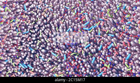 Différents germes dans les intestins humains appelés microbiome - illustration 3d Banque D'Images