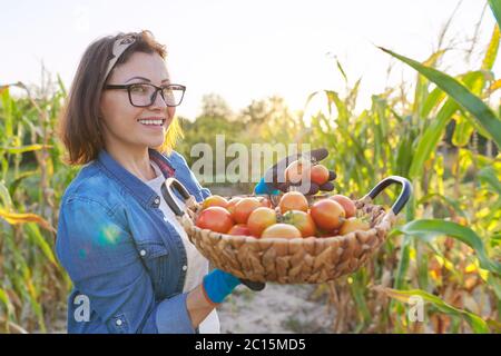 Femme paysanne avec panier de tomates dans son jardin potager, tomates gros plan Banque D'Images