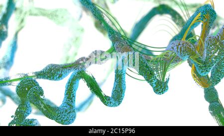 Chaîne d'acides aminés ou biomolécules appelée protéine - illustration 3d Banque D'Images