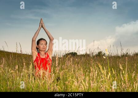 Femme pratiquant le yoga dans un domaine de fleurs sauvages et d'herbe, concept de mode de vie sain. Banque D'Images