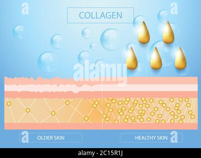 Collagène, peau plus ancienne et peau corothy, peau de protection, conception vectorielle Illustration de Vecteur