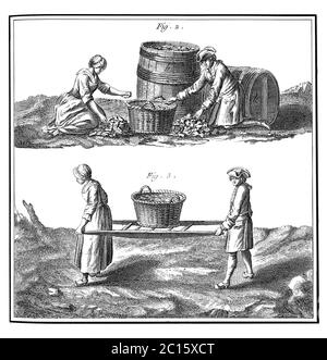 Industrie du verre. Une illustration de la façon dont les ouvriers recueillent et transportent des débris de verre. Publié dans 'A Diderot Pictorial Encyclopedia of Trades and Industry'. Banque D'Images