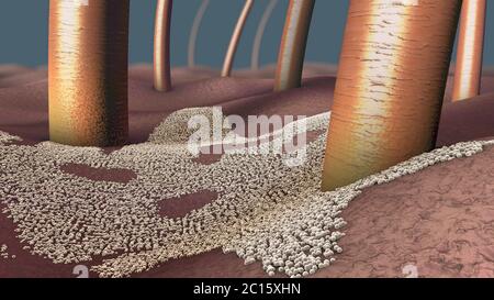 Gros plan microscopique d'une infection fongique de la couche supérieure de la peau, appelée mycose de la peau - illustration 3d Banque D'Images