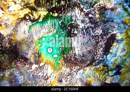 Liquides colorés mélangés dans un fluide créant une peinture abstraite colorée Banque D'Images