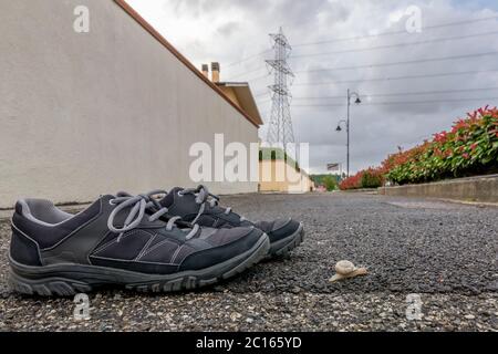 Un escargot rampe sur l'asphalte près d'une paire de baskets avec un pylône haute tension en arrière-plan et le ciel nuageux Banque D'Images