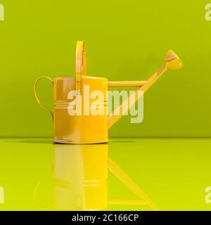 Arrosoir sur vert Banque D'Images