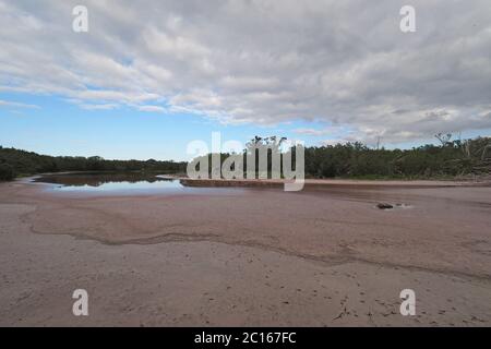 Paysage nuageux tôt le matin au-dessus d'Eco Pond dans le parc national des Everglades, Floride. Banque D'Images