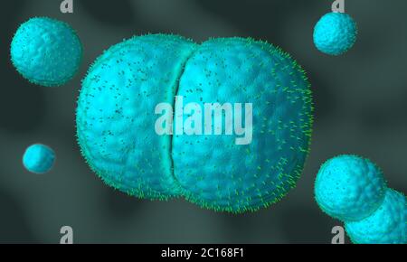 3d illustration d'agents pathogènes de la méningite appelé menigococcus Banque D'Images