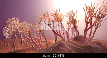 Illustration microscopique de moisissures ou de champignons et spores en croissance - illustration 3d Banque D'Images