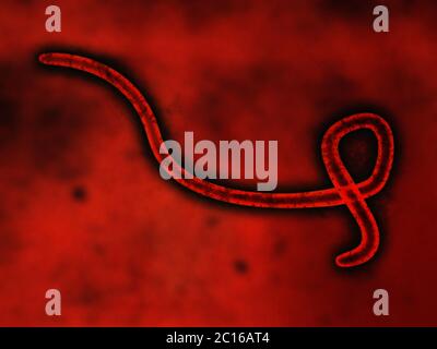 Cellule de virus sur un fond rouge Banque D'Images