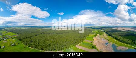 Paysage rural, vue aérienne. Vue sur la campagne. Vue sur les champs labourés et verts et la forêt de pins au printemps. Panorama 180 à partir de 21 images Banque D'Images