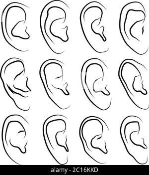 Illustrations vectorielles ensemble de contours noirs dessinés à la main des oreilles humaines de formes diverses sur un fond blanc. Illustration de Vecteur