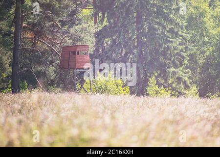 chasse en bois aveugle sur le bord de la forêt, près de la prairie, jour ensoleillé Banque D'Images