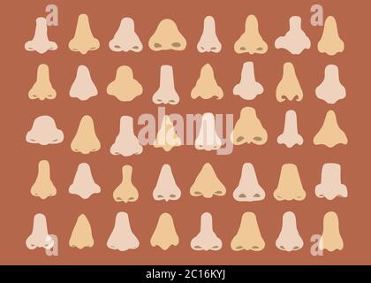 Illustrations vectorielles ensemble de nez humains dessinés à la main de formes diverses. Illustration de Vecteur