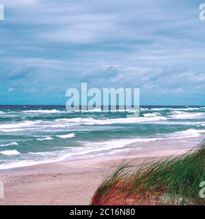 Paysage sablonneux sur la côte de la Spit, patrimoine de l'UNESCO, Cronian Spit, Lituanie. Plage de Curonian Spit avec dunes de sable. Banque D'Images