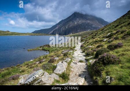 Vue sur Llyn Idwal, un petit lac dans le MCG Idwal dans les montagnes Glyderau de Snowdonia, au nord du pays de Galles, avec Pen yr Ole Wen au loin Banque D'Images