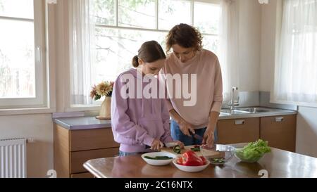 Mère et fille de l'adolescence cuisinant ensemble dans la cuisine Banque D'Images
