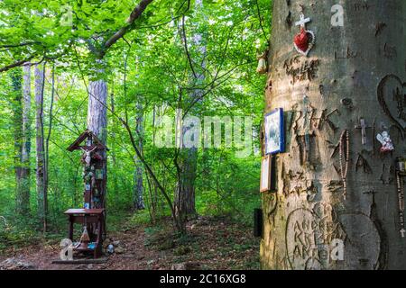 Baden: Lieu de culte Waldandacht (dévotion forestière) avec crucifix et symboles chrétiens à Wienerwald, Bois de Vienne, Niederösterreich, Basse-Autriche Banque D'Images