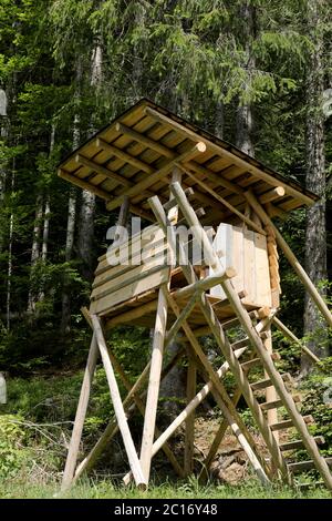 Abri en bois du stand des chasseurs au bord de la forêt Banque D'Images
