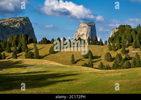 Mont-aiguille et les hauts plateaux du Vercors en été. Parc naturel régional du Vercors, Isère, Rhône-Alpes, Alpes, France Banque D'Images