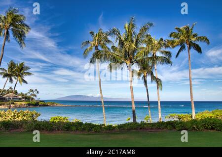 Vue sur l'océan tropical en bleu marine à Napili Bay, à Maui. Banque D'Images