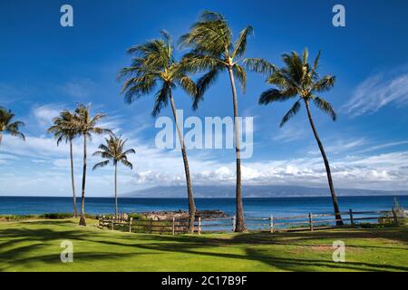 Vue sur l'océan tropical en bleu marine à Napili Bay, à Maui. Banque D'Images